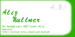 aliz mullner business card